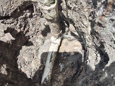 Expert Outdoor Plumbing Repair Project