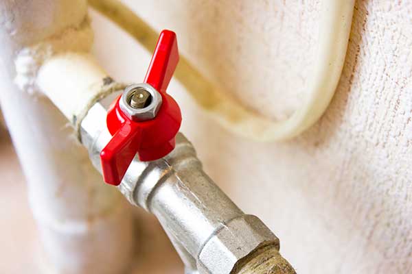 Learn More About Valve Replacement Services